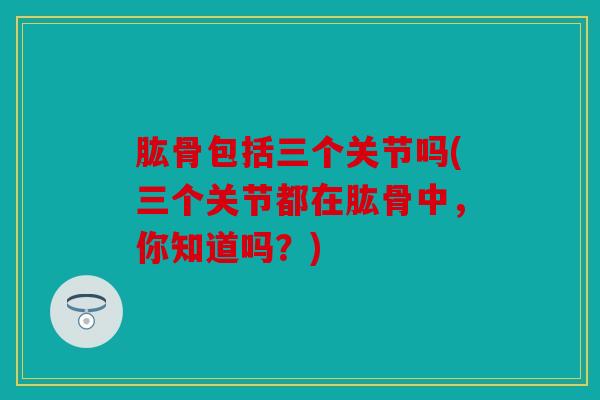 肱骨包括三个关节吗(三个关节都在肱骨中，你知道吗？)