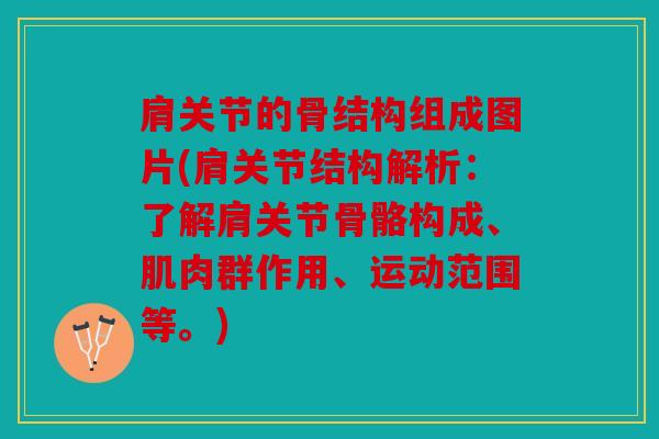肩关节的骨结构组成图片(肩关节结构解析：了解肩关节骨骼构成、肌肉群作用、运动范围等。)