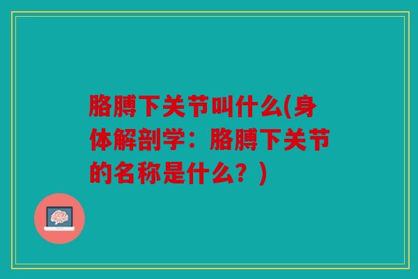 胳膊下关节叫什么(身体解剖学:胳膊下关节的名称是什么?) 胳膊下关节叫什么(身体解剖学:胳膊下关节的名称是什么?)