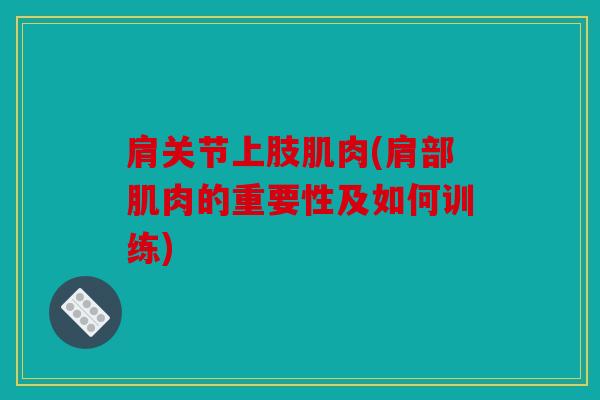 肩关节上肢肌肉(肩部肌肉的重要性及如何训练)