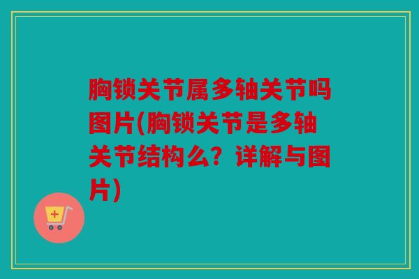 胸锁关节属多轴关节吗图片(胸锁关节是多轴关节结构么？详解与图片)