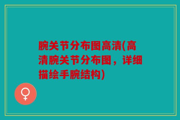 腕关节分布图高清(高清腕关节分布图，详细描绘手腕结构)