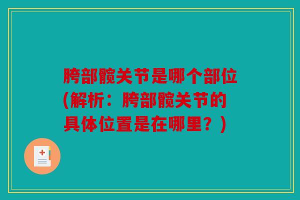 胯部髋关节是哪个部位(解析：胯部髋关节的具体位置是在哪里？)