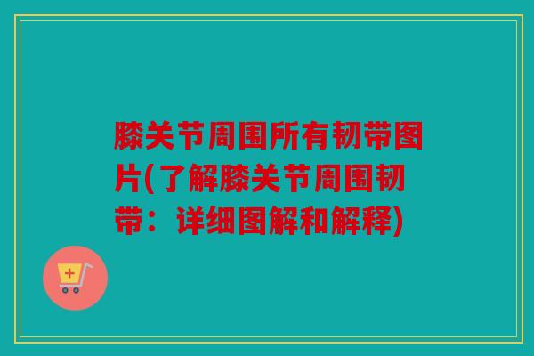 膝关节周围所有韧带图片(了解膝关节周围韧带：详细图解和解释)