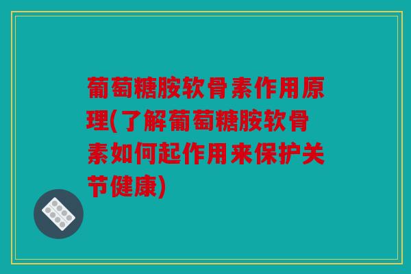 葡萄糖胺软骨素作用原理(了解葡萄糖胺软骨素如何起作用来保护关节健康)