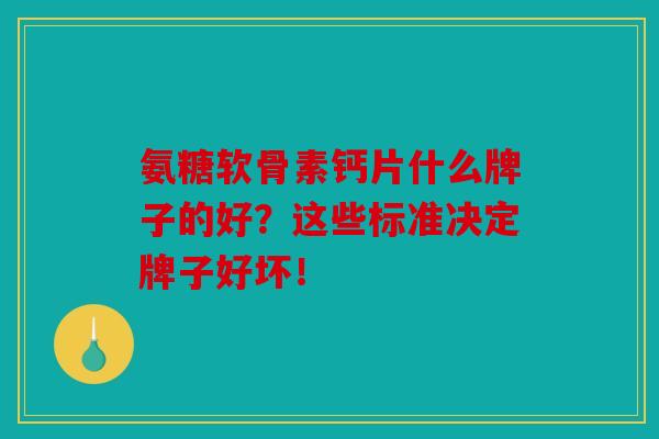 氨糖软骨素钙片什么牌子的好？这些标准决定牌子好坏！