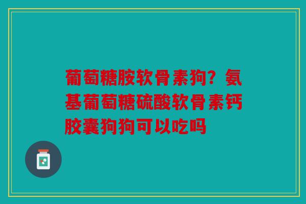 葡萄糖胺软骨素狗？氨基葡萄糖硫酸软骨素钙胶囊狗狗可以吃吗