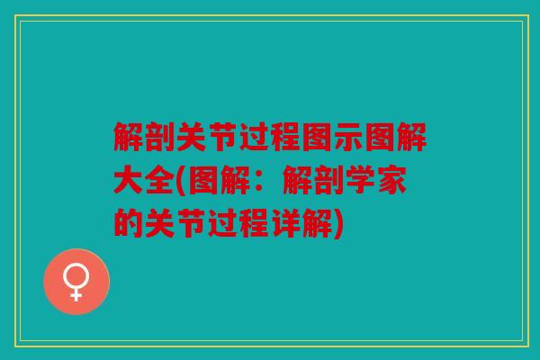 解剖关节过程图示图解大全(图解：解剖学家的关节过程详解)