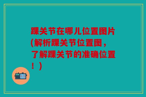 踝关节在哪儿位置图片(解析踝关节位置图，了解踝关节的准确位置！)