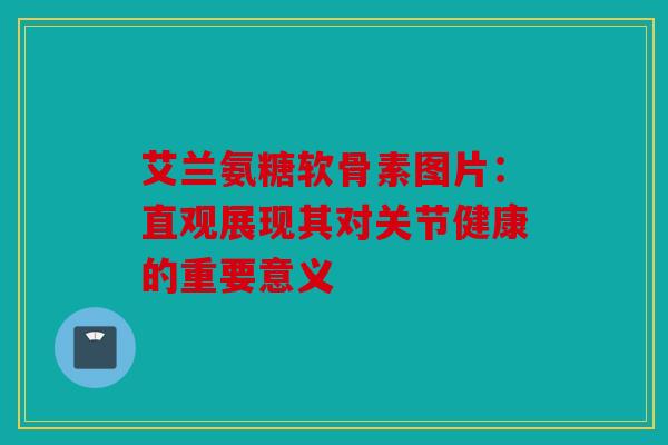 艾兰氨糖软骨素图片：直观展现其对关节健康的重要意义