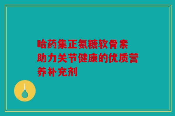 哈药集正氨糖软骨素 助力关节健康的优质营养补充剂