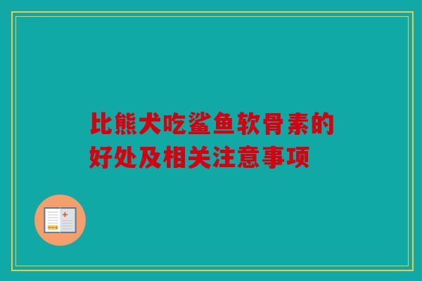 比熊犬吃鲨鱼软骨素的好处及相关注意事项