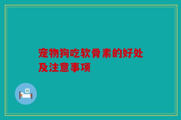 宠物狗吃软骨素的好处及注意事项