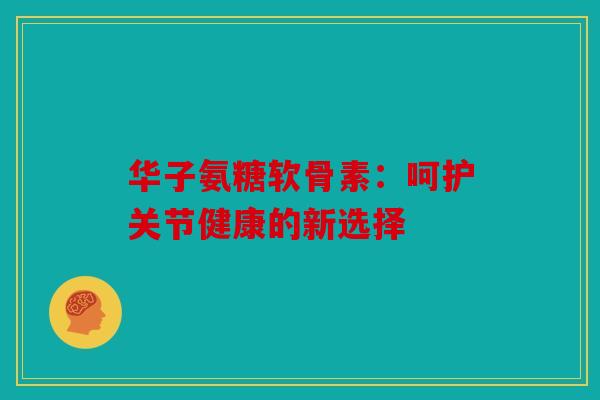华子氨糖软骨素：呵护关节健康的新选择