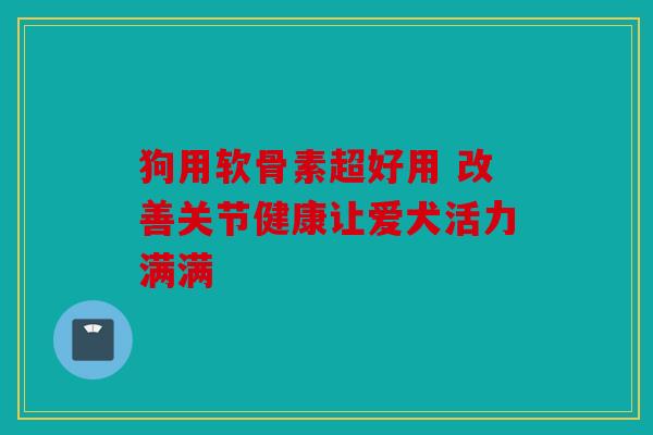 狗用软骨素超好用 改善关节健康让爱犬活力满满