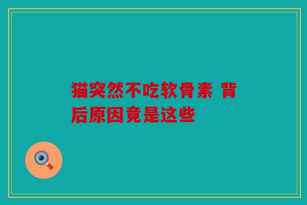 猫突然不吃软骨素 背后原因竟是这些