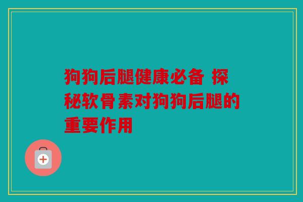 狗狗后腿健康必备 探秘软骨素对狗狗后腿的重要作用