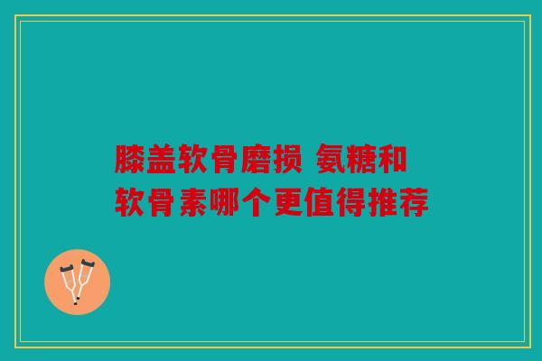 膝盖软骨磨损 氨糖和软骨素哪个更值得推荐 膝盖软骨磨损 氨糖和软骨素哪个更值得推荐