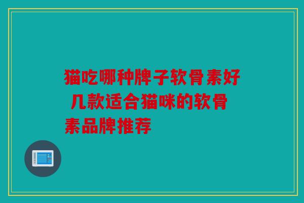猫吃哪种牌子软骨素好 几款适合猫咪的软骨素品牌推荐