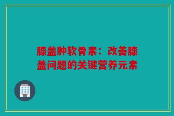 膝盖肿软骨素：改善膝盖问题的关键营养元素