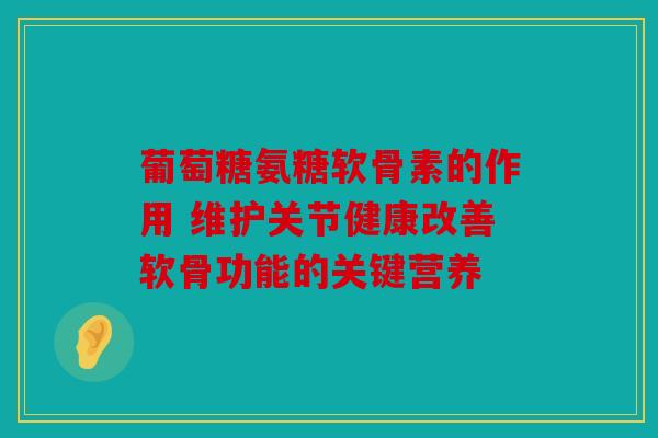 葡萄糖氨糖软骨素的作用 维护关节健康改善软骨功能的关键营养