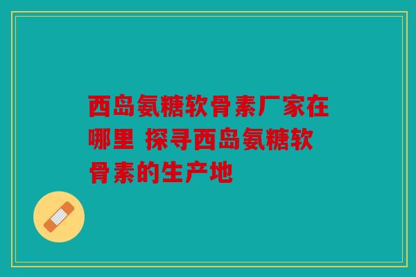 西岛氨糖软骨素厂家在哪里 探寻西岛氨糖软骨素的生产地