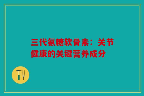 三代氨糖软骨素：关节健康的关键营养成分