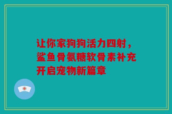 让你家狗狗活力四射,鲨鱼骨氨糖软骨素补充开启宠物新篇章 让你家狗狗活力四射,鲨鱼骨氨糖软骨素补充开启宠物新篇章