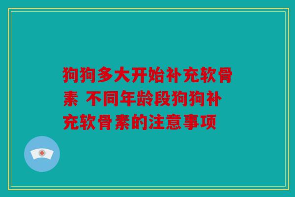 狗狗多大开始补充软骨素 不同年龄段狗狗补充软骨素的注意事项