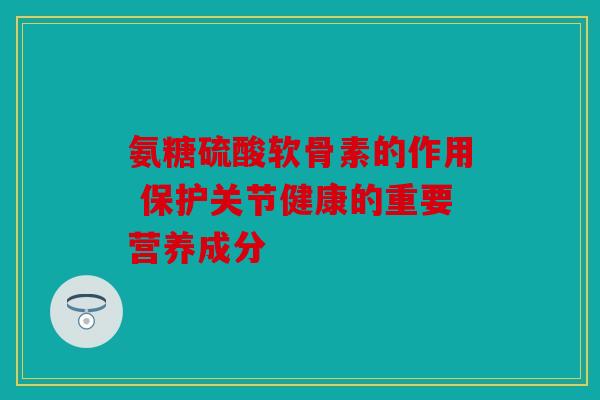 氨糖硫酸软骨素的作用 保护关节健康的重要营养成分