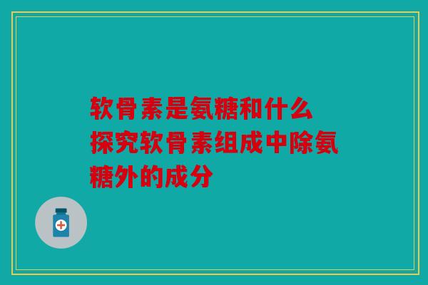 软骨素是氨糖和什么 探究软骨素组成中除氨糖外的成分
