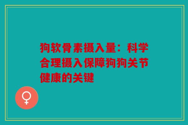 狗软骨素摄入量：科学合理摄入保障狗狗关节健康的关键