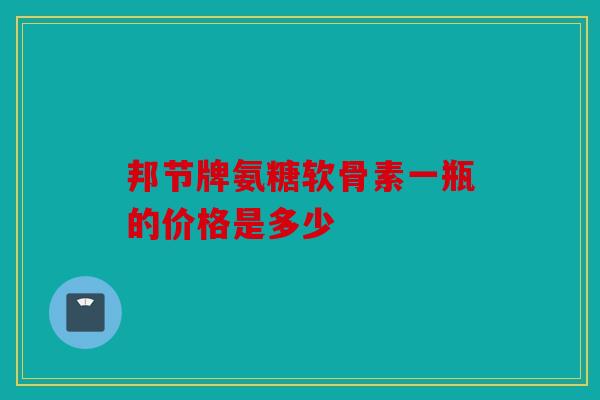 邦节牌氨糖软骨素一瓶的价格是多少