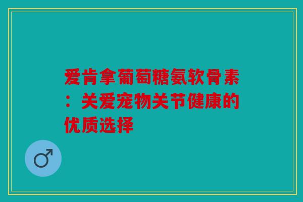 爱肯拿葡萄糖氨软骨素：关爱宠物关节健康的优质选择