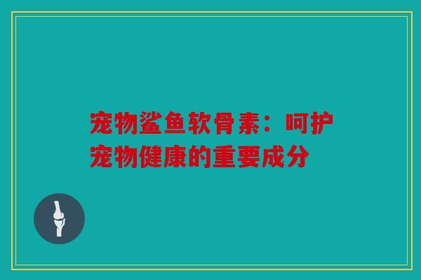 宠物鲨鱼软骨素：呵护宠物健康的重要成分