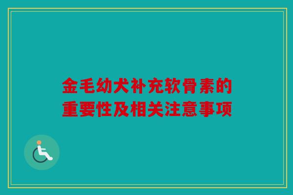 金毛幼犬补充软骨素的重要性及相关注意事项
