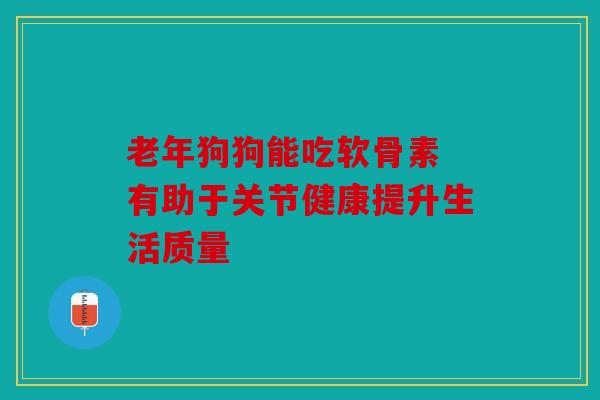 老年狗狗能吃软骨素 有助于关节健康提升生活质量
