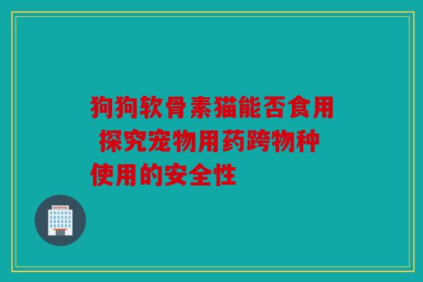 狗狗软骨素猫能否食用 探究宠物用药跨物种使用的安全性