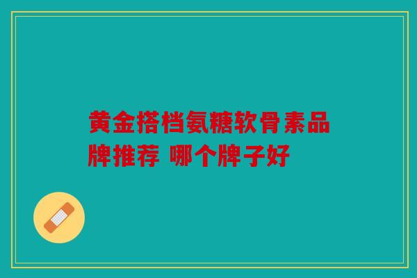 黄金搭档氨糖软骨素品牌推荐 哪个牌子好