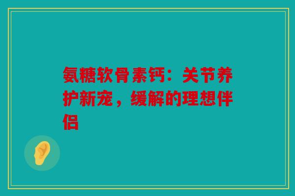 氨糖软骨素钙：关节养护新宠，缓解的理想伴侣