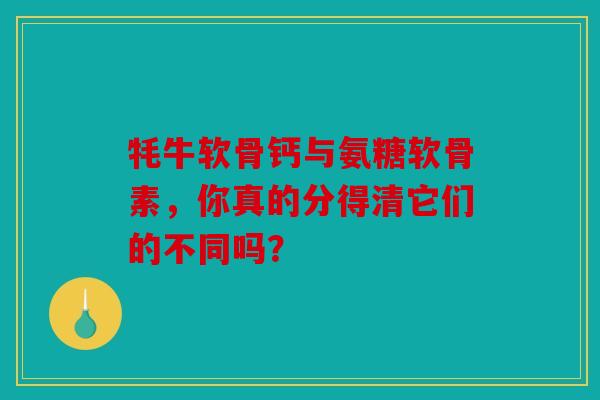 牦牛软骨钙与氨糖软骨素，你真的分得清它们的不同吗？