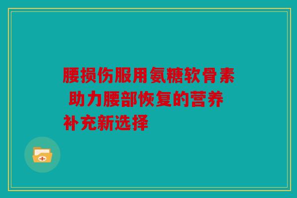 腰损伤服用氨糖软骨素 助力腰部恢复的营养补充新选择
