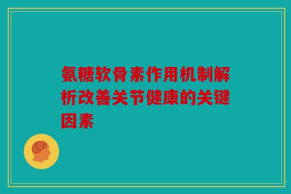氨糖软骨素作用机制解析改善关节健康的关键因素