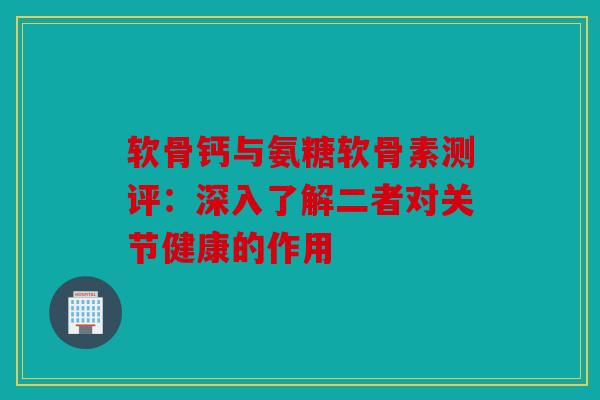 软骨钙与氨糖软骨素测评：深入了解二者对关节健康的作用