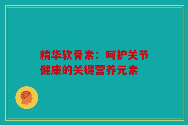 精华软骨素：呵护关节健康的关键营养元素
