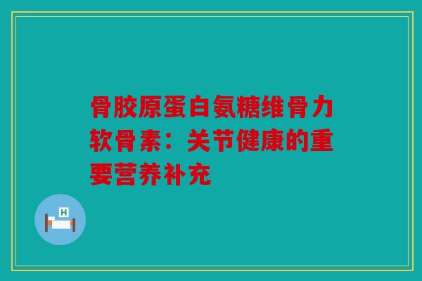 骨胶原蛋白氨糖维骨力软骨素:关节健康的重要营养补充 骨胶原蛋白氨糖维骨力软骨素:关节健康的重要营养补充