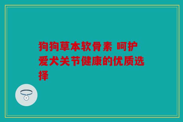 狗狗草本软骨素 呵护爱犬关节健康的优质选择
