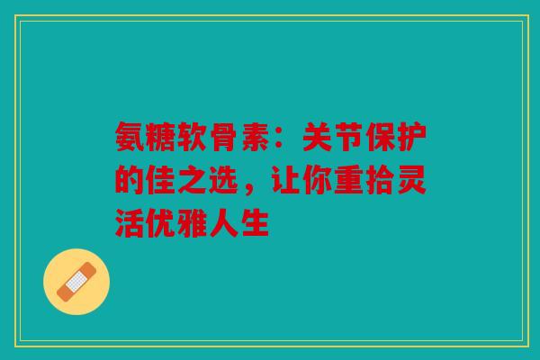 氨糖软骨素：关节保护的佳之选，让你重拾灵活优雅人生