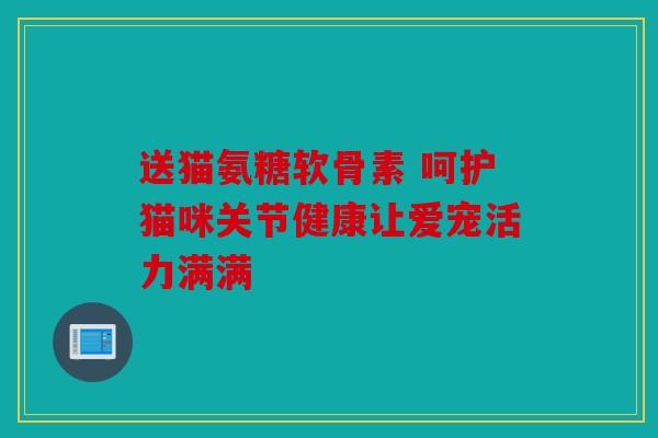 送猫氨糖软骨素 呵护猫咪关节健康让爱宠活力满满