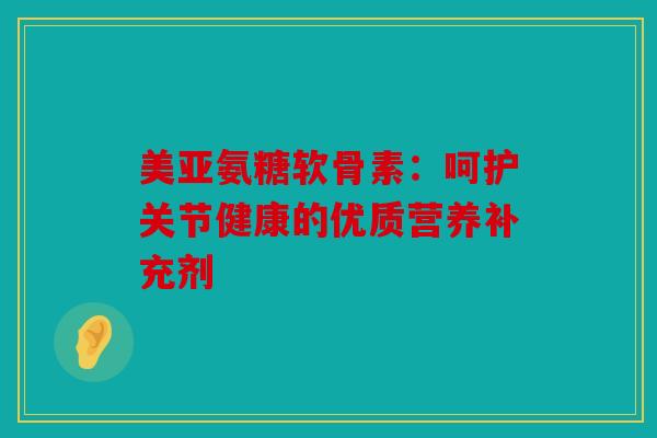 美亚氨糖软骨素：呵护关节健康的优质营养补充剂